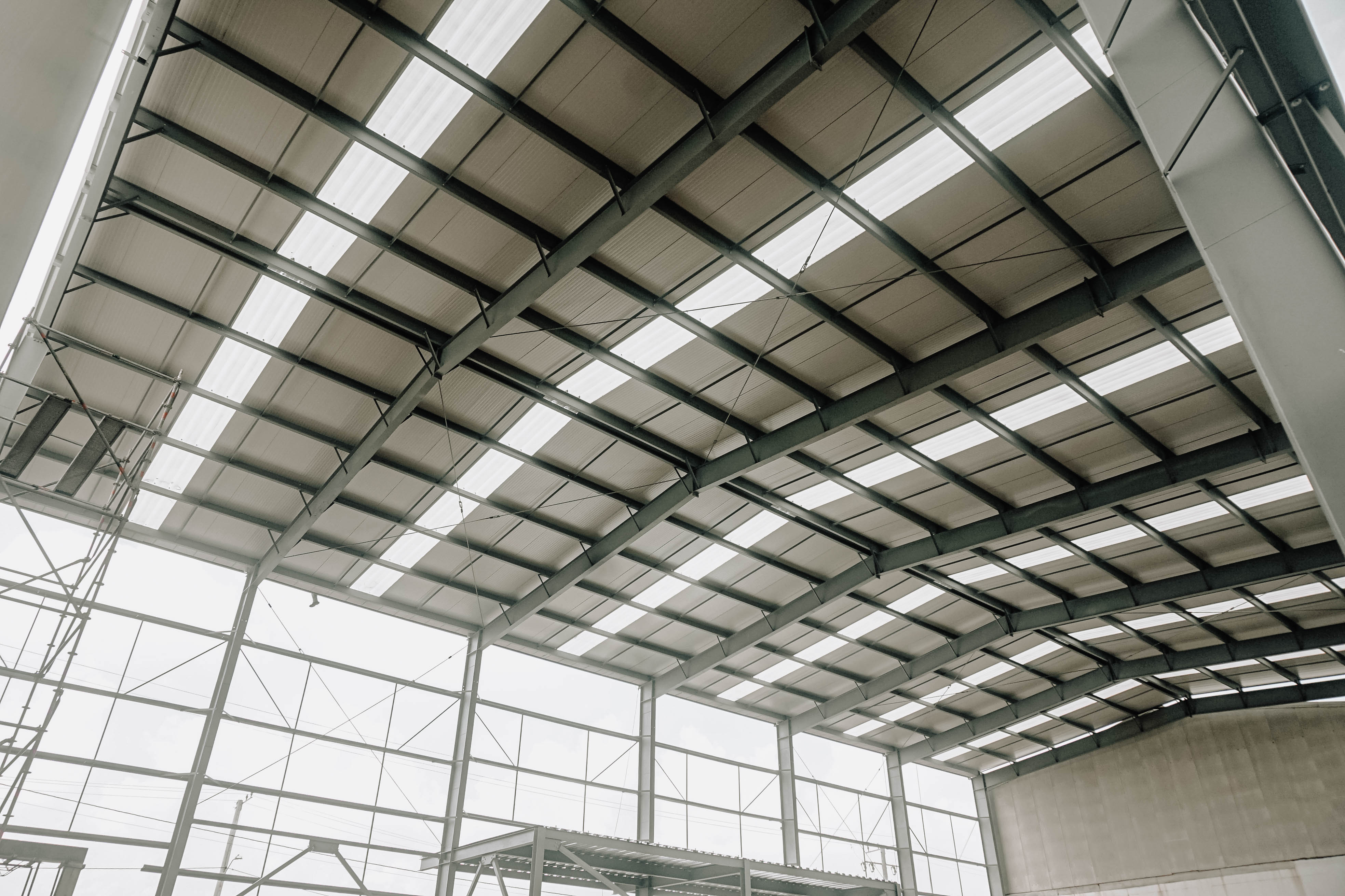 Bodega Caribe Verde 10 y 11